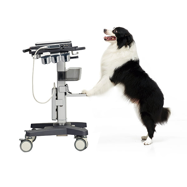 Chison SonoBook9 VET | Veterinary Ultrasounds