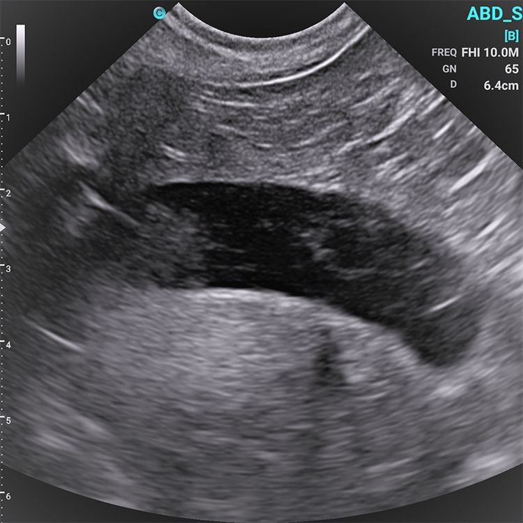 Chison SonoEye VET Handheld Mobile Phone Ultrasound | Veterinary Ultrasounds