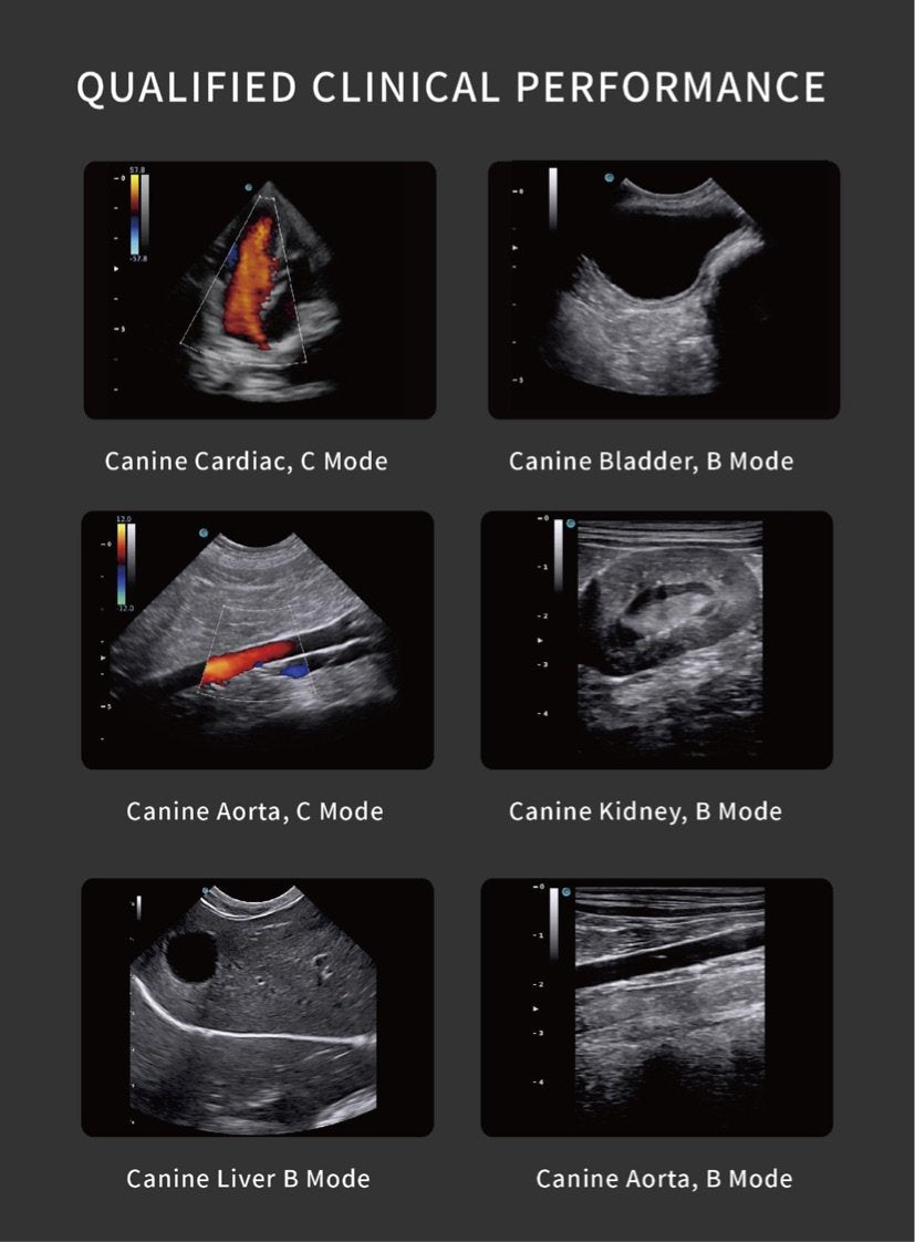 Chison SonoEye VET Handheld Mobile Phone Ultrasound | Veterinary Ultrasounds