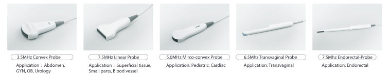 WED-380V Ultrasound